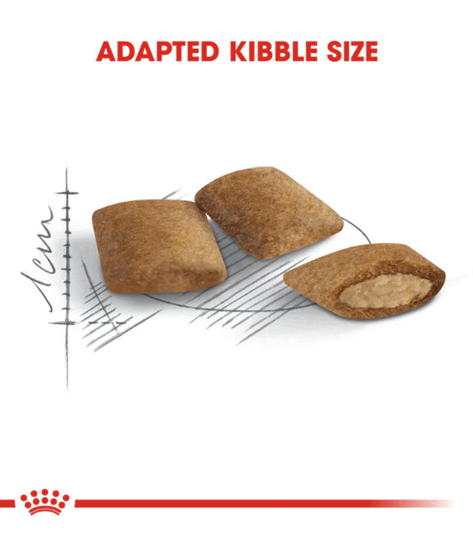 Royal Canin - Cat Ageing +12 2kg