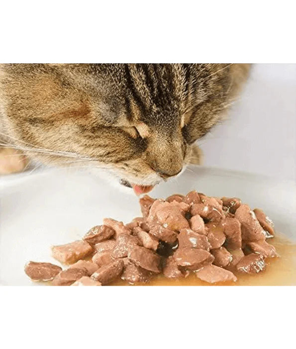Farmina - cat N&D Natural, Chicken Grain Free Adult Wet Cat Food In Broth 70g