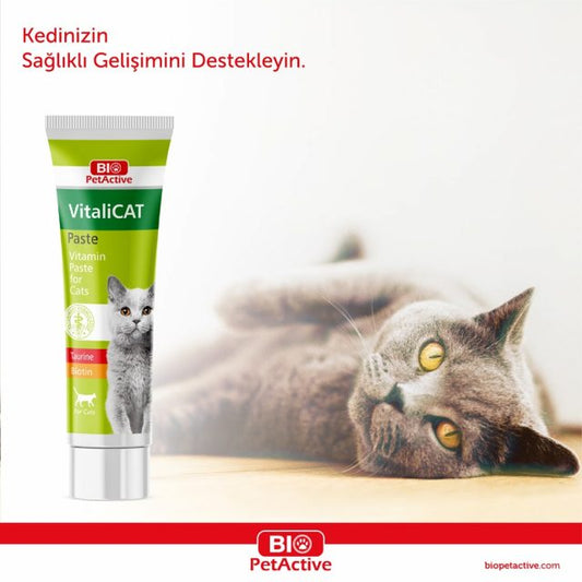 Bio PetActive - Vi̇tali̇cat Paste - Multivitamin Pastes for Cats