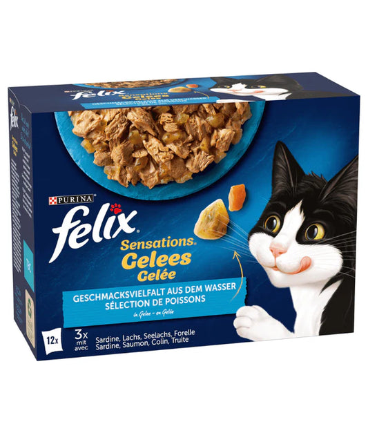 Purina Felix - cat Sensations in Jelly Adult Wet Food – Salmon, Trout, Sardine, Pollock – Selection 12 x 85g