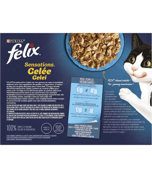 Purina Felix - cat Sensations in Jelly Adult Wet Food – Salmon, Trout, Sardine, Pollock – Selection 12 x 85g