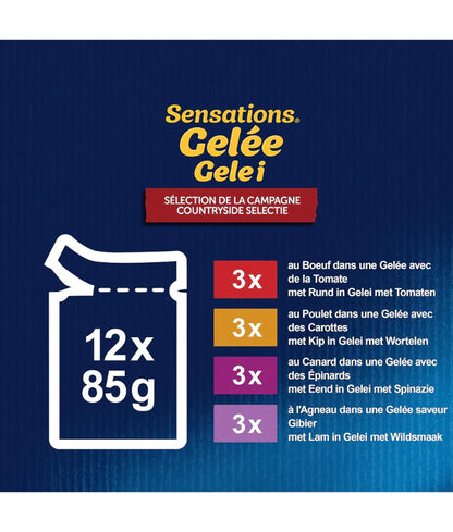 Purina Felix - cat Sensations in Jelly Adult Wet Food – Beef, Chicken, Duck & Lamb, Adult 12x85g