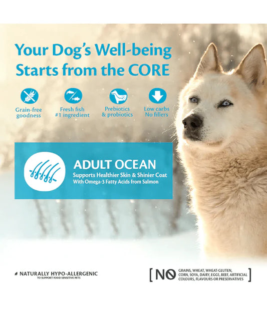 Wellness Core Adult Ocean Salmon and Tuna Medium&Large Breed