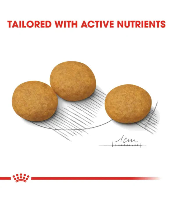 Royal Canin - dog Dermacomfort, Medium Breed Adult Dry Dog Food, Reduced Allergen Formula, with Omega 3&6 for Sensitive Skin - 3 kg