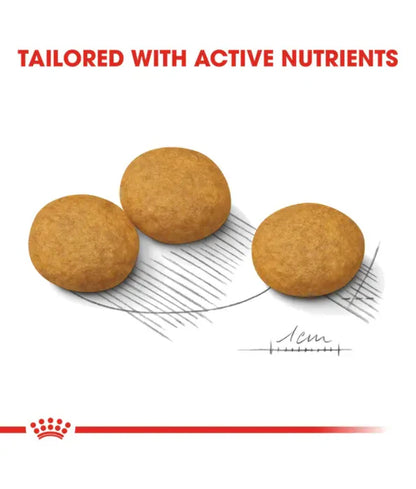 Royal Canin - dog Dermacomfort, Medium Breed Adult Dry Dog Food, Reduced Allergen Formula, with Omega 3&6 for Sensitive Skin - 3 kg