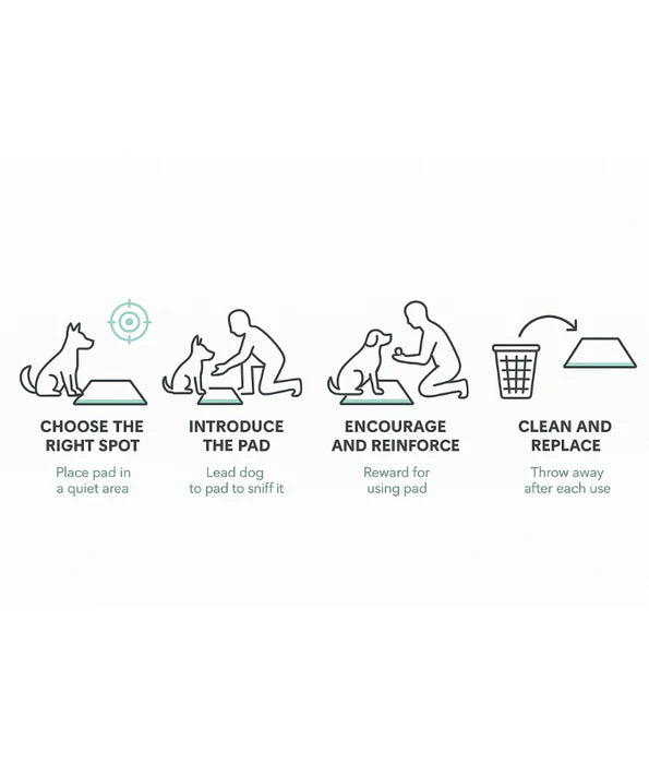 Midea Pet -Smart Mate Training Pads, 5-Layer Odor-Lock & Leak-Proof Absorption.