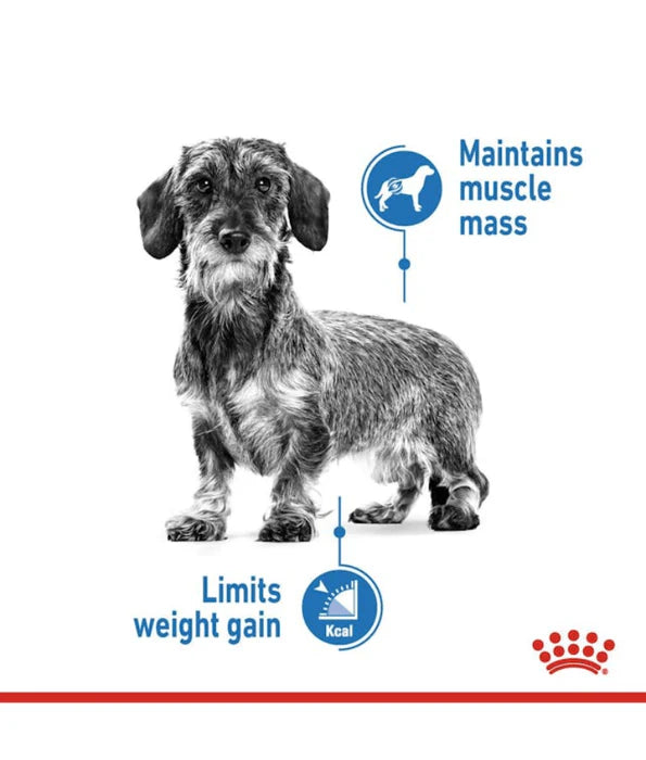 Royal Canin - dog Mini Light Weight Care 3kg
