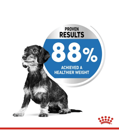 Royal Canin - dog Mini Light Weight Care 3kg