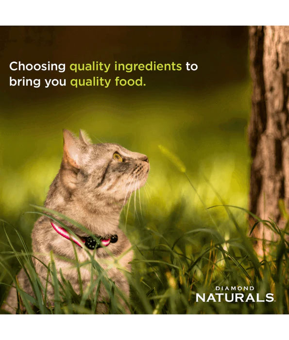 Diamond Naturals - cat Indoor Chicken Cat INTL 3kg