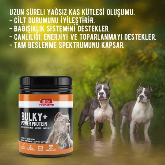 Bio petActive - Bulky+ power protein