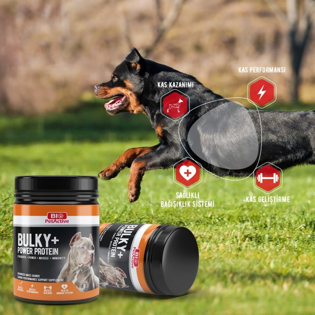Bio petActive - Bulky+ power protein