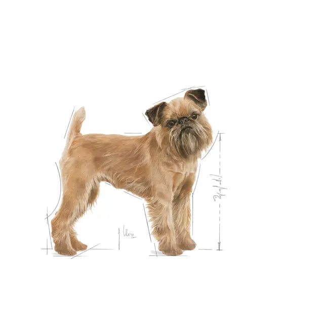 Royal canin - dog mini dental care 3kg