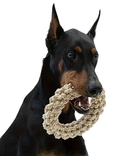 spot & flash - dog toy