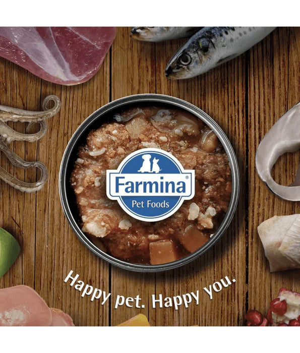 Farmina - dog Ecopet Natural Lamb & Rice, Adult All Breed Sizes, Complete Nutrition Wet Dog Food - 300 g