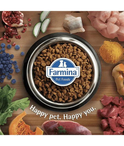 Farmina - cat Matisse Kitten 1-12 Months, Chicken Recipe, Growth & Development Support, Dry Cat Food - 1.5 kg