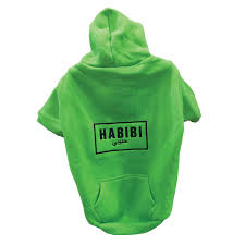 Hoodie Habibi Green