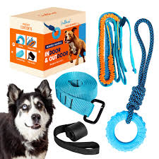 soulthink indoor & outdoor - dog toy