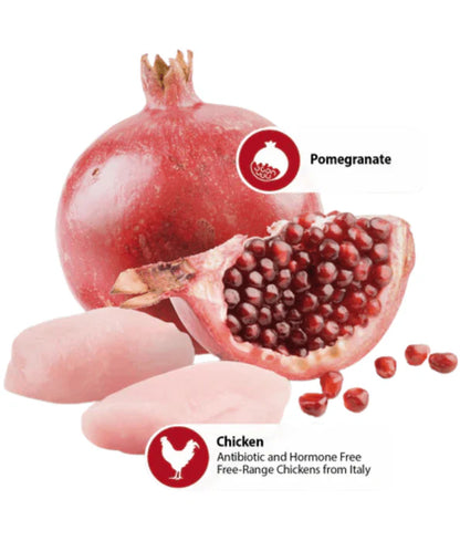 Farmina - dog N&D Chicken & Pomegranate, Grain-Free, High Animal Protein, Low Glycemic, Adult All Breed Sizes Wet Dog Food - 285 g