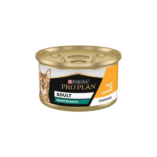 Purina Pro Plan - Cat Adult Maintenance, Wet Cat Food, Terrine Rich in Chicken 85g