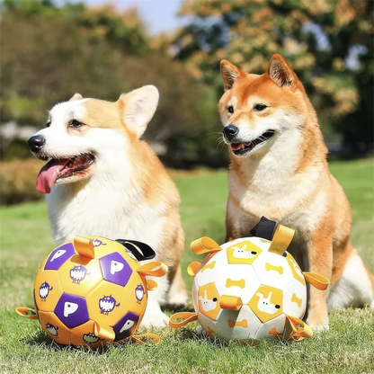Soccer Ball - Dog Toy