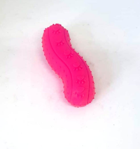 Puppy squeaky - dog toy