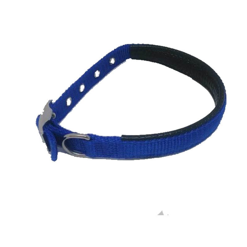 Buddy pet collar best sale