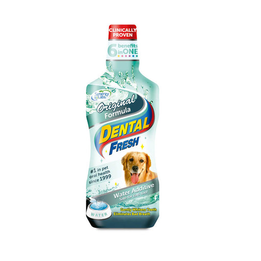 Dental Fresh Spray