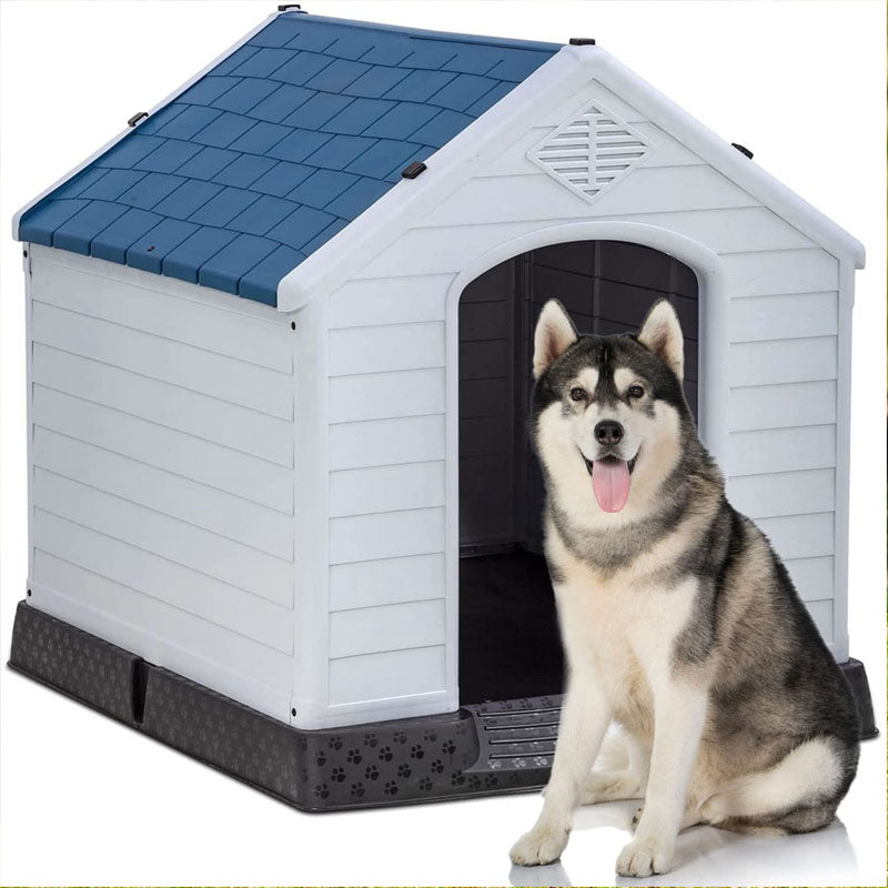 Dog House