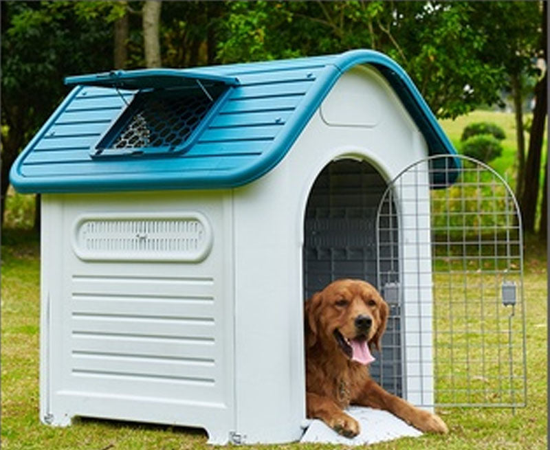 Dog House