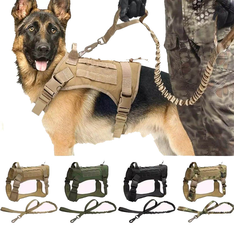 Army top dog harness